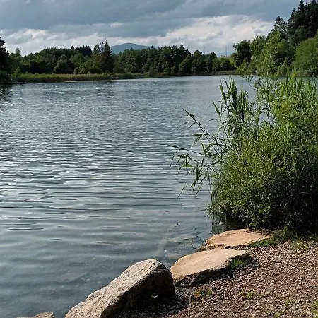 Aichwaldsee Apartment Ledenitzen